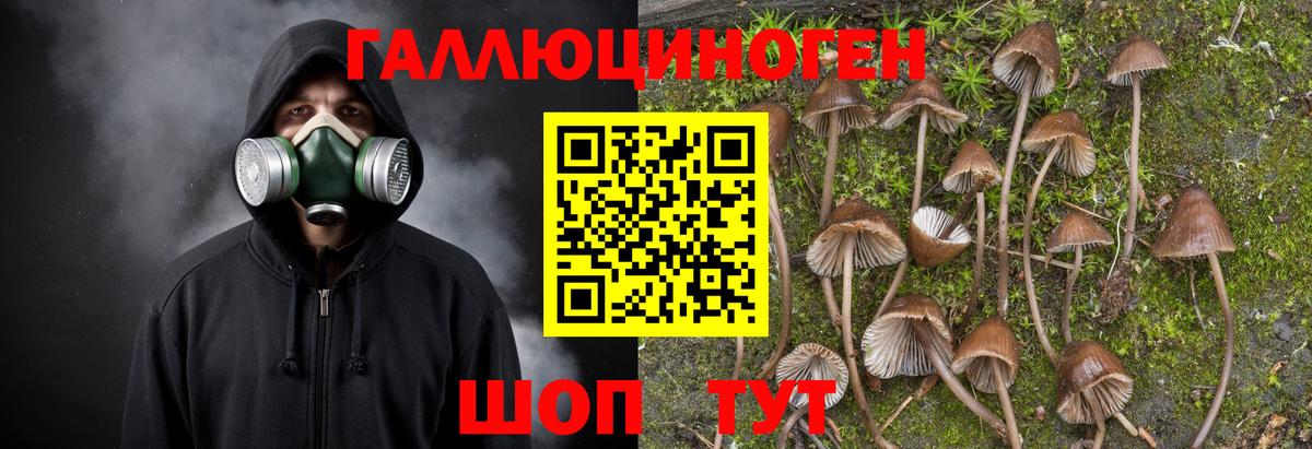 Псилоцибиновые грибы MAGIC MUSHROOMS  Вход с VPN  Псилоцибиновые грибы мицелий  Новоалтайск 